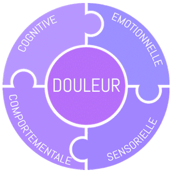 4 composantes de la douleur